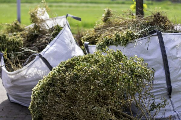 Shrubs Removal in Vienna