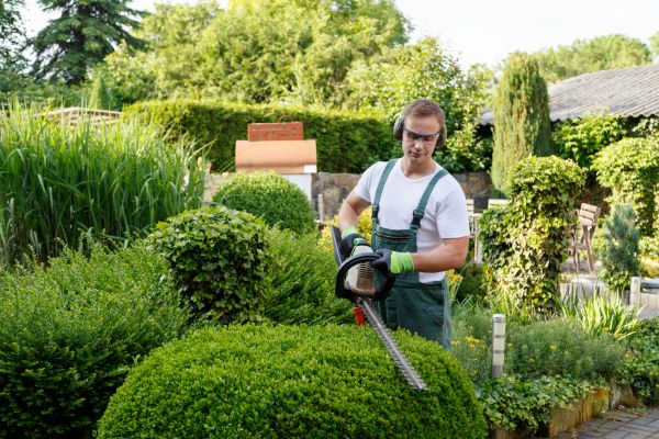 Shrubs Trimming in Vienna