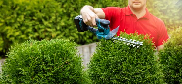 Hedge Shaping Service in Vienna