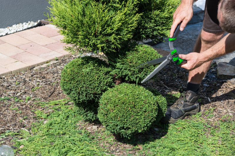 Trimming Bushes Near Walkways