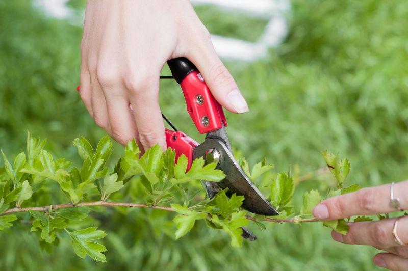 Proper Pruning Technique